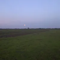 original sound - asilisukuma