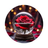 mundodas7rosas