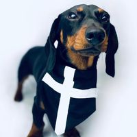 sammysausage05