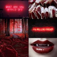 vampire_diarie_stories