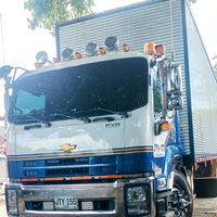 wilsonnovoa128