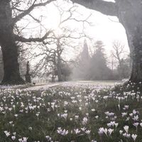 оригинальный звук