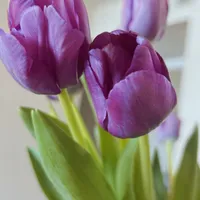 original sound - noemej1