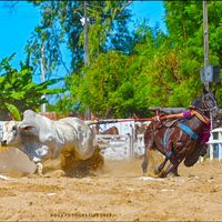 xandaopancada1