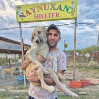 naynuxana_rescue_shelte