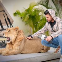 الصوت الأصلي