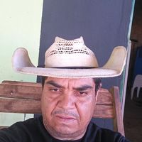 leonaldogodoi