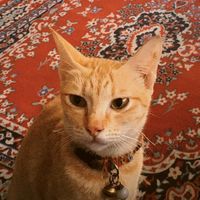 original sound - Elfo