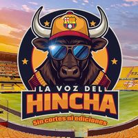 lavozdelhincha2.0