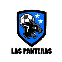 thepantherskickimball