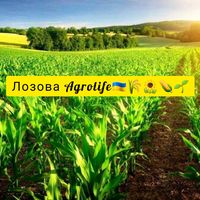 lozovaagrolife