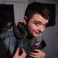 jaxsreptiles