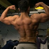 zainmeharskt