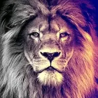 original sound - status.gospel4