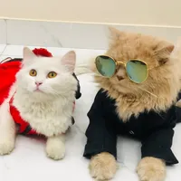 original sound - nenumeow