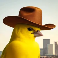 original sound - tucanojubileu