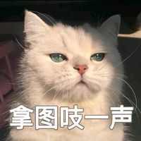 30_yang.ff
