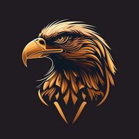 motivacaovideosefrases