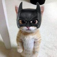 оригінальний звук