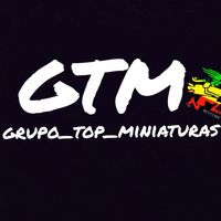 grupotopminiaturas
