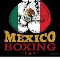 salsero_boxing