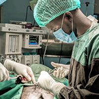 dr_maxmilian_md