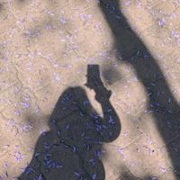lu_6_1