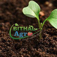bithalagro