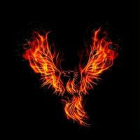 fenix_1256