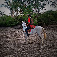 rosysilva88104