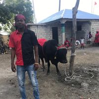 empereurjoumalonje.llc