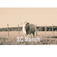 s.c.ranch