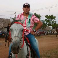 losgallos41