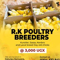 r.kpoultrybreeders