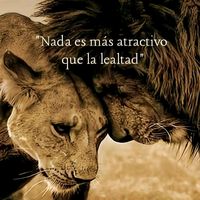 jorsha87