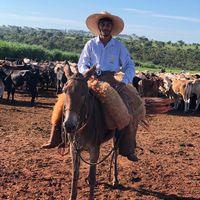 miguel.queiroz76