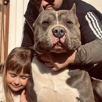 manu_bully_transilvania