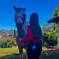 .samararliveiraa