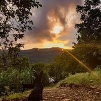 504catrachanahomimhn