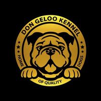 don_geloo