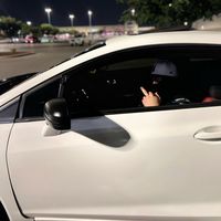 lozano_504_