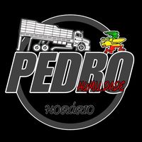 pedro.flogueiro