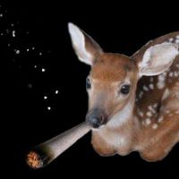 оригинальный звук