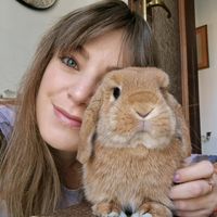 margotnavoni