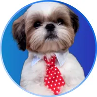 original sound - shihtzulupy