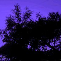 waceke_254