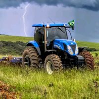 brutos.do.agro.edits