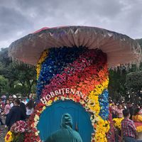 fansdetemach22