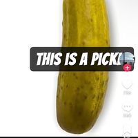 lovepicklegirl1