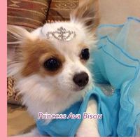 princessavabisou